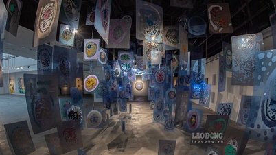 Từ hạt gạo, bèo hoa dâu đến cuộc đối thoại giữa khoa học và nghệ thuật