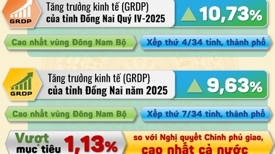 Das Bruttoinlandsprodukt der Provinz Dong Nai wird im Jahr 2025 voraussichtlich 9,63 % erreichen und damit das von der Regierung vorgegebene Ziel übertreffen.