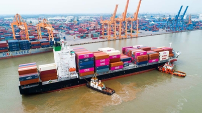 ការច្នៃប្រឌិតក្នុងប្រតិបត្តិការកំពង់ផែនៅក្រុមហ៊ុនភាគហ៊ុនរួមកំពង់ផែ Hai Phong