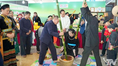Bolo de arroz glutinoso da nova temporada