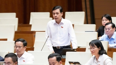 Delegierter Tran Anh Tuan: Die Anzahl der Fächer ist doppelt so hoch wie in anderen Ländern, daher sollte sie reduziert werden, damit die Schüler den Stoff trotzdem aufnehmen können.