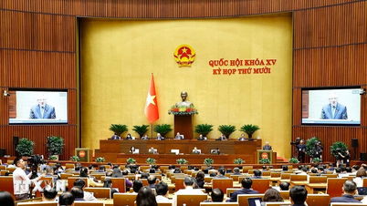 कानूनी प्रणाली को बेहतर बनाना, विकास को बढ़ावा देना, अर्थव्यवस्था का प्रमुख संतुलन सुनिश्चित करना