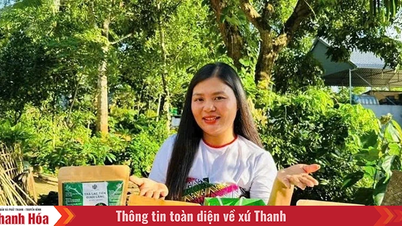 OCOP-producten in bergachtige gebieden passen zich aan e-commerce aan