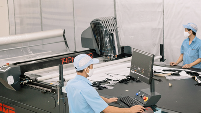 Da Nang's economy grew positively in 11 months, trade and services affirmed their driving role