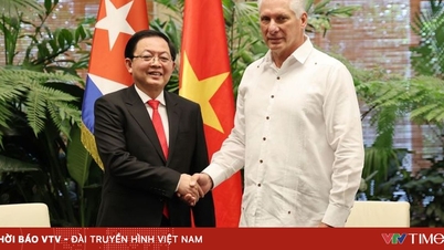 Vietnam ve Küba arasındaki özel dayanışma ilişkisini güçlendirmeye devam edin