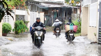 Prakiraan hujan lebat di provinsi Khanh Hoa pada tanggal 3 dan 4 Desember
