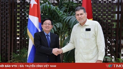 Vietnam - Cuba : Poursuivre la mise en œuvre des projets, améliorer l'efficacité et l'ampleur de la coopération dans divers domaines