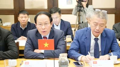 हाई फोंग चेक निवेशकों के लिए बुनियादी ढांचा और सहायता तंत्र उपलब्ध कराने के लिए तैयार है।