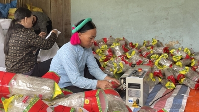 ہر OCOP پروڈکٹ علاقائی "سفیر" ہے