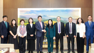 A vice-presidente do Comitê Popular Provincial, Vu Thi Hien Hanh, recebeu uma delegação do Hospital de Veteranos de Busan, na Coreia.
