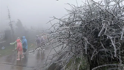 Север вот-вот вступит в пик сильных холодов, эта зима будет суровой