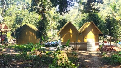 मा थिएन लान्ह में अवैध निर्माण: वन भूमि पर "अवैध रूप से" दुकानें और रेस्तरां विकसित हो रहे हैं (भाग 1)