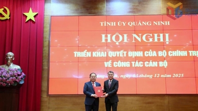 कॉमरेड क्वान मिन्ह कुओंग, क्वांग निन्ह प्रांतीय पार्टी समिति के सचिव का पद संभाल रहे हैं