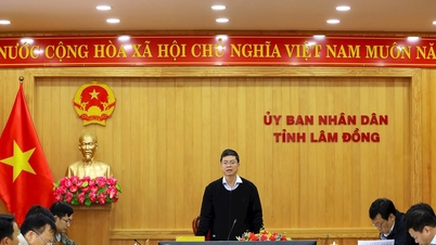 19 दिसंबर को लाम डोंग तान फु-बाओ लोक एक्सप्रेसवे परियोजना का निर्माण कार्य शुरू करेगा।