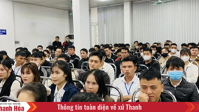 海外で働くときに言語を学ぶ必要はないとアドバイスされた場合、労働者は注意する必要があります。