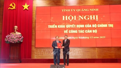 Товарищ Куан Минь Кыонг был назначен секретарем партийного комитета провинции Куангнинь.