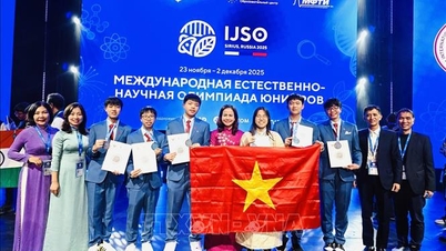 ویتنام کے وفد نے انٹرنیشنل یوتھ سائنس اولمپیاڈ میں شاندار تمغے جیتے۔