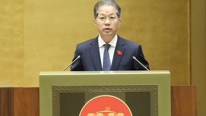 司法活動は大きく改善され、多くの業務が国会が設定した目標を上回りました。