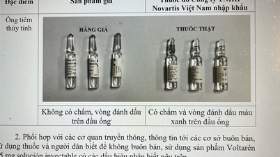 រដ្ឋបាល​ឱសថ​របស់​ប្រទេស​វៀតណាម​បាន​ប្រកាស​អំពី​ថ្នាំ​បំបាត់​ការឈឺចាប់​សន្លាក់​Voltarén 75 mg ក្លែងក្លាយ