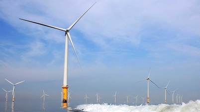 해상풍력 발전: 획기적인 메커니즘과 적절한 투자자 선택의 문제