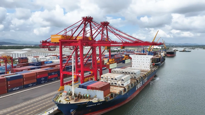 Дананг розвиває зелену та цифрову логістику