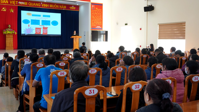 Rättshjälp för personer med funktionsnedsättning