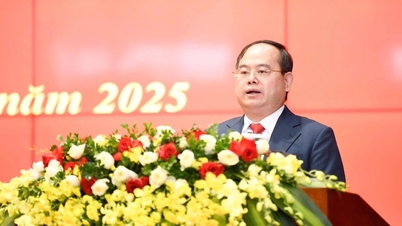 Biro Politik melantik Encik Quan Minh Cuong sebagai Setiausaha Quang Ninh.