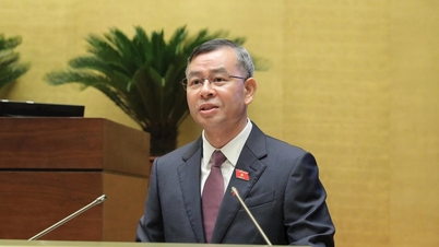 Stärka tematiska revisioner med fokus på "heta" frågor