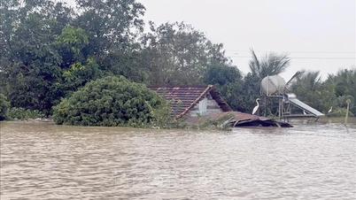 การปรับตัวรับมือภัยพิบัติ 'เหนือกฎหมาย' - ตอนที่ 1: การดำเนินการเมื่อเผชิญกับความท้าทายที่รุนแรง