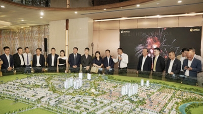 टी एंड टी होम्स ने हो ची मिन्ह सिटी में पहली सेल्स गैलरी का आधिकारिक तौर पर शुभारंभ किया