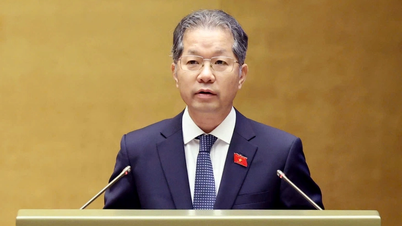 چیف جسٹس Nguyen Van Quang: شہری زمین کی منصوبہ بندی، انتظام اور استعمال سے متعلق جرائم کو سختی سے نمٹائیں۔