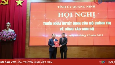 آقای کوان مین کونگ به عنوان دبیر کمیته حزبی استان کوانگ نین منصوب شد.