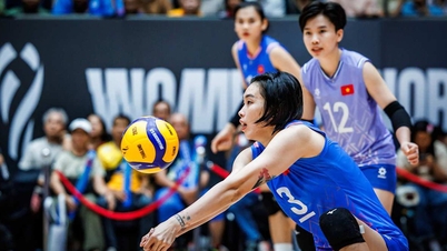 לוח משחקי כדורעף נשים בווייטנאם עדכניים: טאנה ת'וי וביץ' ת'וי מוכנות להצטרף לקבוצה