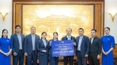 मिलिट्री कमर्शियल ज्वाइंट स्टॉक बैंक ने प्राकृतिक आपदाओं के परिणामों से निपटने के लिए ह्यू शहर को 3 बिलियन VND दिए
