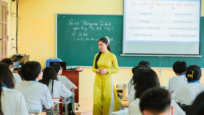 31 Aralık'tan önce okul öncesi, genel eğitim ve sürekli eğitim tesislerinin düzenlemesini tamamlayın