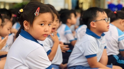 ২০২৬ সালে হো চি মিন সিটির প্রাথমিক বিদ্যালয়ের জন্য প্রত্যাশিত ভর্তির সময়সূচী