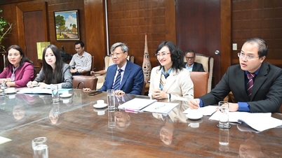 Onderminister Phan Thi Thang was medevoorzitter van de bijeenkomst over de implementatie van de handelsovereenkomst tussen Vietnam en Cuba.