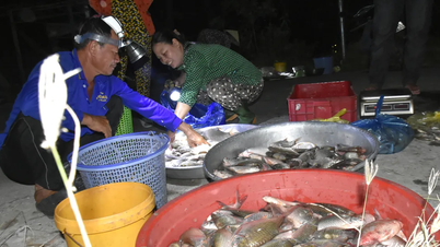 안장 국경 지역 홍수철 '유령 시장'