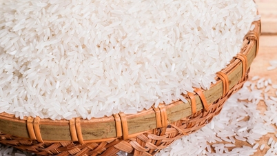 Harga Beras Hari Ini 3 Desember 2025: Banyak Jenis Naik Tipis