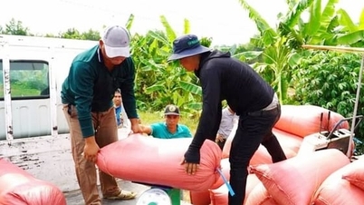 Precio del arroz hoy 3 de diciembre de 2025: Mercado interno se recupera