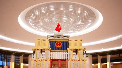 Un espace permettant au public et aux amis internationaux de mieux comprendre l'Assemblée nationale vietnamienne