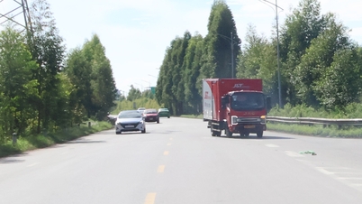 Bac Ninh: Adjusting 12 district roads (old) into provincial roads