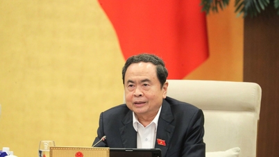 Mengurangi kesenjangan dan meningkatkan efisiensi dalam menangani pelanggaran lingkungan kecil