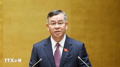 Anwendung von Technologie bei der Prüfung öffentlicher Investitionen, Grundstücke und Umwelt