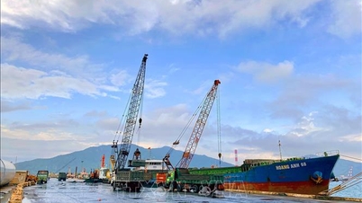 OECD: 베트남 경제, 2026~2027년 회복세 지속 전망