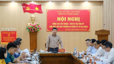 Заместитель секретаря провинциального комитета партии Ламдонг Буй Тханг работает в коммуне Дахуоай.