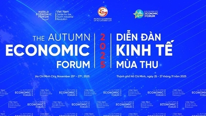 جلسة حوارية - المنتدى الاقتصادي الخريفي 2025 (26 نوفمبر 2025)