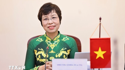 Kantor berita VNA dan TASS memperkuat kerja sama di periode baru