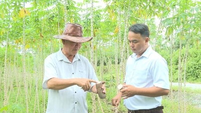 Petani Loc Ninh berinovasi pemikiran, meningkatkan kecekapan pengeluaran