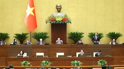 Tiếp tục hoàn thiện cơ chế điều chỉnh thị trường vàng, giao chính xác Bộ quản lý đào tạo khối về sức khỏe